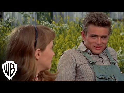 James Dean Ultimate Collector's Edition | East of Eden -- Ring | Warner Bros. Entertainment