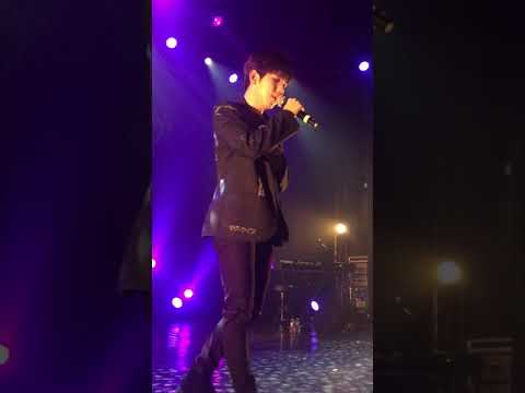 PLT WEGOHOLIC IN PARIS - INSOMNIAC