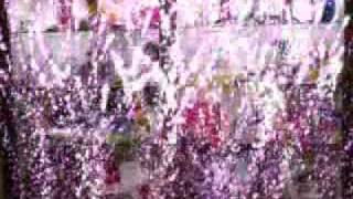 Peek inside Pet Spa Professional Dog Grooming Salon