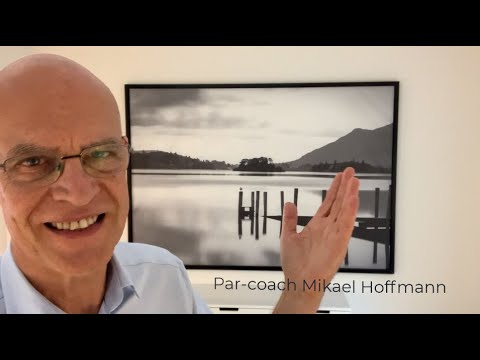 Vores bevidsthed deler sig i 4 områder, illustreret i Joharis vindue.
