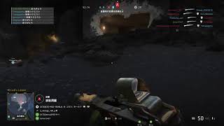 暇だからBFVで遊ぶ