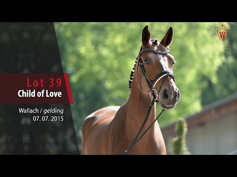 39 Child of Love Wallach v. Las Vegas - Numero Uno