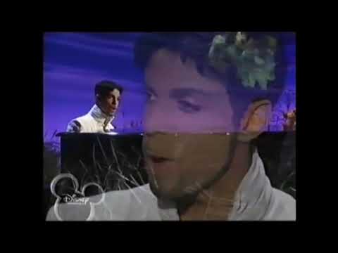Muppet Songs: Prince - She Gave Her Angels