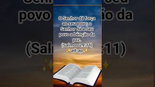 MENSAGENS BÍBLICA ##DEUSNOCOMANDO #DEUS #palavraselouvores #versiculododia #mensagemdedeus
