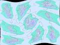 Klasky Csupo In G Major 151 AVS Video Editor Instructions