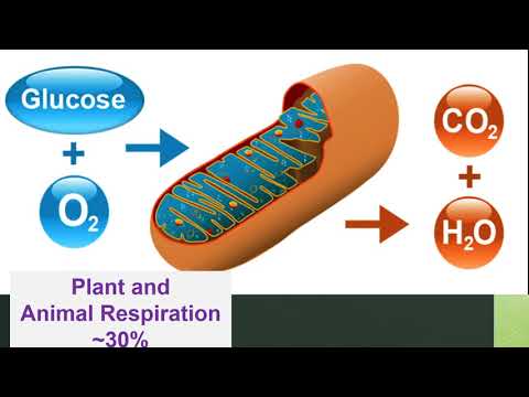 APES Unit 7 Section 4: Natural Sources of CO2 and Particulates