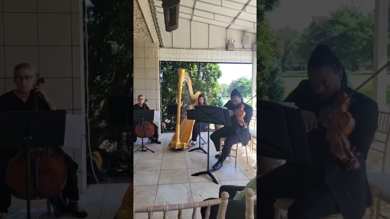 Promotional video thumbnail 2 for TDB Violin