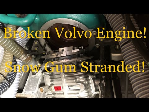 Snow Gum - Broken Volvo Engine - D2-75 - Garcia Exploration 45