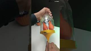 Respiratory System Model | working model of lungs |best science project #shorts #viral #project #diy