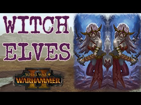 CORE UNIT: Witch Elves - Dark Elves vs Skaven // Total War: Warhammer II Multiplayer Battle