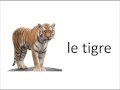 les animaux en francais