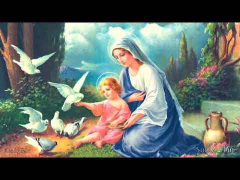 Schowaj mnie pod skrzydła swe