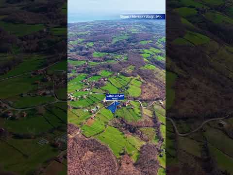 YouTube Shorts Önizleme