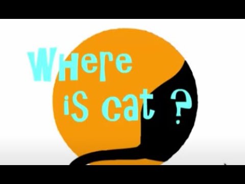 Where is cat? Walkthrough