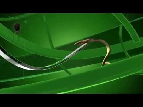 CGI Mograph Showreels HD   Until Now  Motion Grahics & Design Reel    by Sebatian Livingston