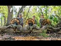 Turkey Hunting FLORIDA 3 GOBBLERS In 2 DAYS