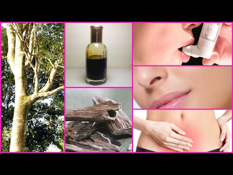 AGARWOOD OIL for PAIN, PERIOD CRAMPS, STRESS, ANTI-AGING, WRINKLES │ OUDH OIL BENEFITS & REMEDIES