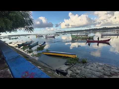 Piaçabuçu em Alagoas 