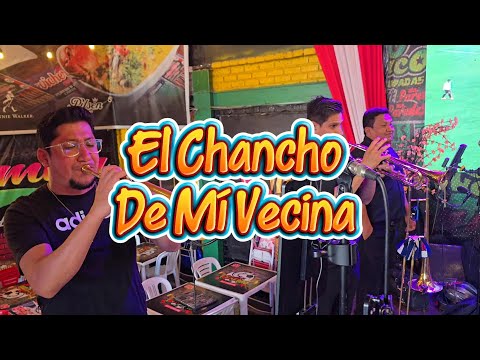 EL CHANCHO DE MI VECINA  - DRIDAS DEL VALLE 🇵🇪  ÉXITO 2025