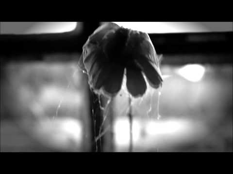 ZAYN - Vicarivs Filii Dei (Animal Rituals) - Official music video