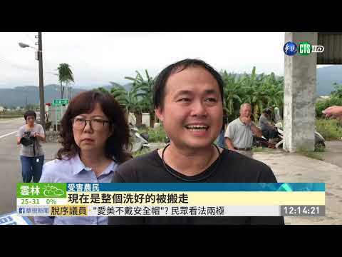 颱風導致三星蔥價格高 39箱被偷走!