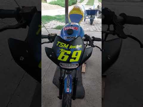 TSM Racing Tomos Automatik A5 Colibri