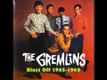 GREMLINS The Coming Generation