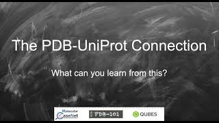 The PDB UNP Connection
