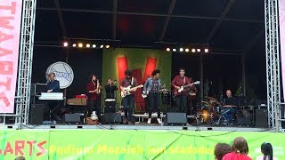 Westwaarts Erasmuspark Amsterdam : Zitakula - Why So Mad