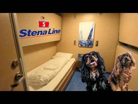 STENA ESTRID PET FRIENDLY CABIN DUBLIN TO HOLYHEAD