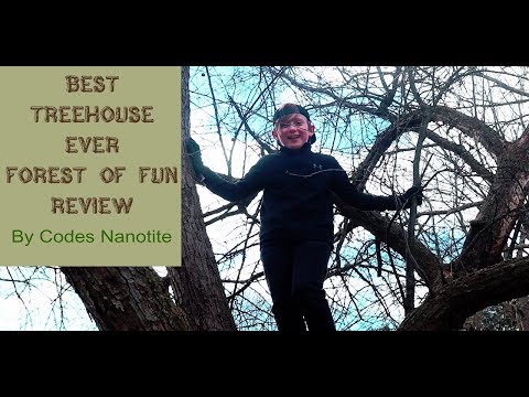 Forest Of Fun Review By Codes Nanotite