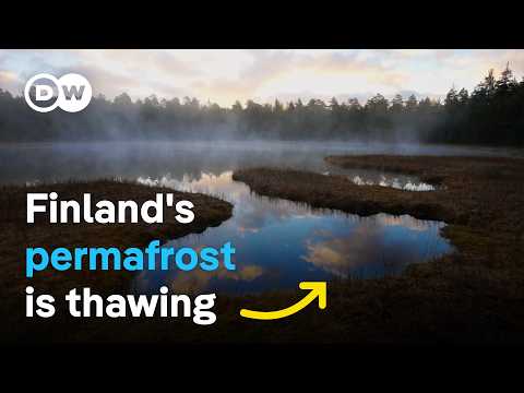 Melting Wetlands: How Can Nature Slow Down Climate Change?