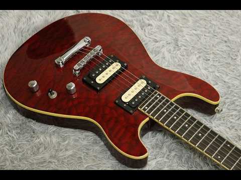 1990's made Fernandes APG-55 Flame maple top PRS style Made in Korea image 26