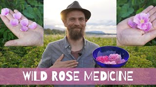 Wild Rose Medicine