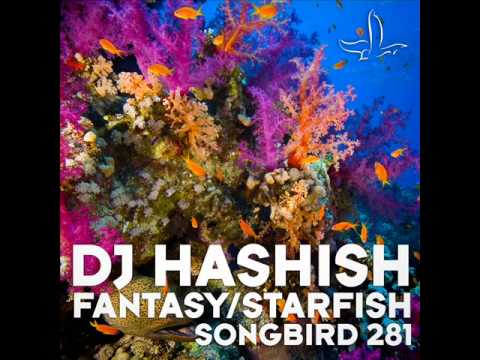 DJ Hashish - Starfish (Original Mix)