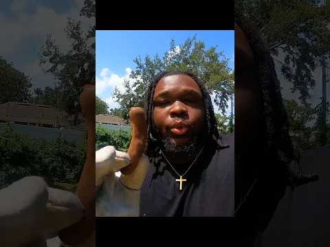 Die am meisten übersehene Frucht der Welt