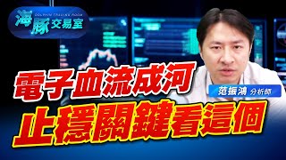 電子血流成河，金融非金電撐盤，止穩關鍵在哪? (圖)
