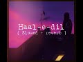 HAAL- E - DIL(Male version)Sanam teri kasam | [SLOWED+REVERB] Thunder edition⚡Sreerama chandra
