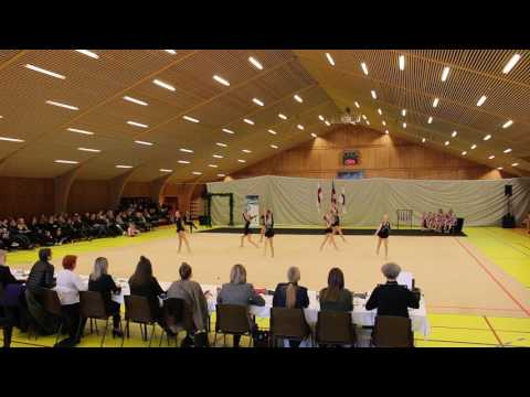 Fyrra steypakapping 2017 Team-Fenja HF smágentur