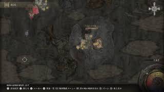 [TCL'24 #39]  【ELDEN RING  SHADOW OF THE TREE】#2   死にゲー下手っぴが2年ぶりにさわるELDEN RING