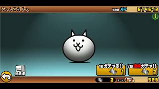 にゃんこ大戦争　逆襲のカオルくん　検証