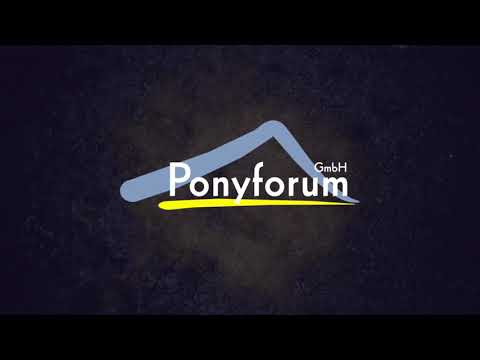 6j. Fuchswallach v. Chris – FS Pour l´Amour