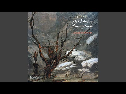 Liszt: Schwanengesang, S. 560 (After Schubert, D. 957) : XIV. Kriegers Ahnung