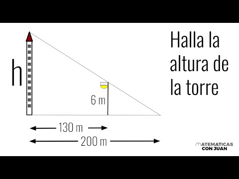 ALTURA DE LA TORRE. Triángulos Semejantes. Matemáticas Básicas