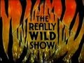 The Really Wild Show Extended Theme Tune