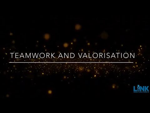 Mark Cutkosky - Teamwork and valorisation
