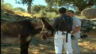 Espacios Naturales: Arribes del Duero (Parte 2/2)