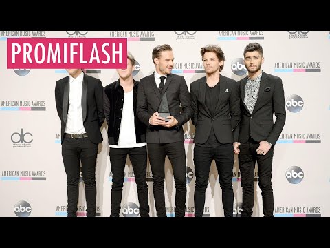 Video Thumbnail: Darum gibt es keine Wiedervereinigung von One Direction