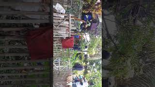 Download lagu arak,arakan buta sanga mp3