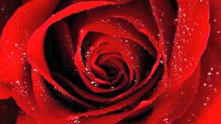 Trashcan Sinatras - Duty Free